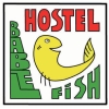 Babelfish-Hostel, Würzburg, Hotel, Service, Frühstück, Buchen, Urlaub